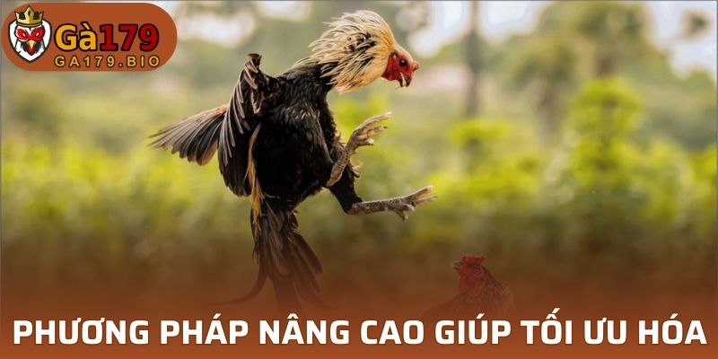 3 cách tập huấn luyện chiến thuật nâng cao