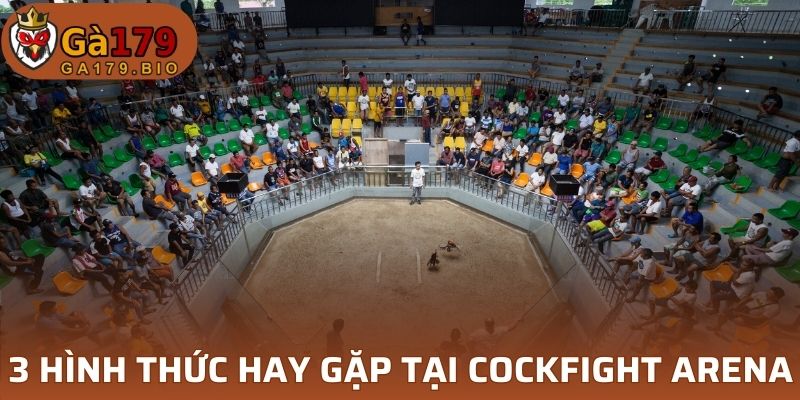 3 hình thứ tại sảnh Cockfight Arena