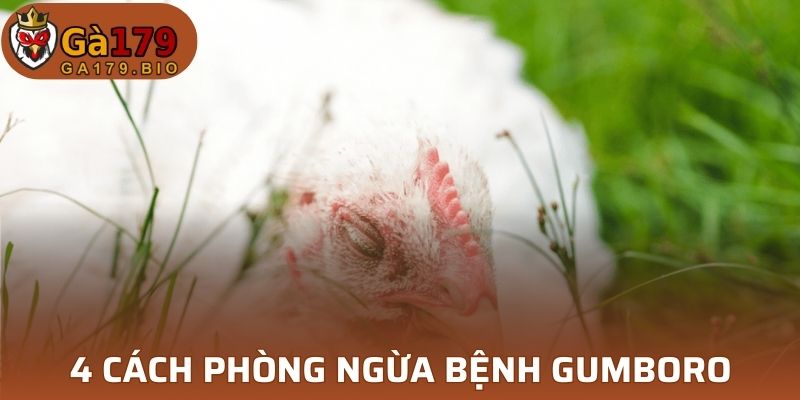 4 cách phòng ngừa Bệnh Gumboro