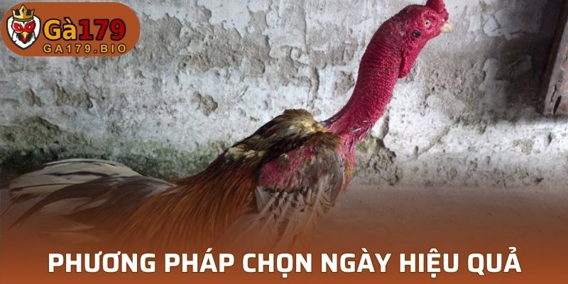 4 phương pháp chọn ngày hiệu quả từ dân chuyên