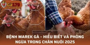 Bệnh Marek