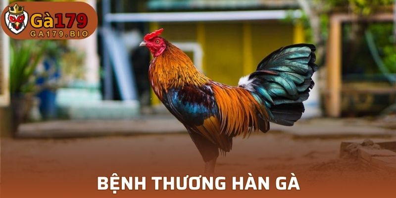 Bệnh thương hàn gà
