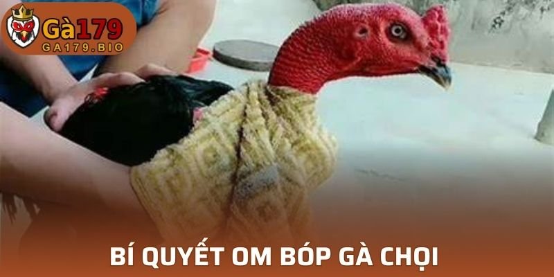 Bí quyết ôm bóp gà chọi