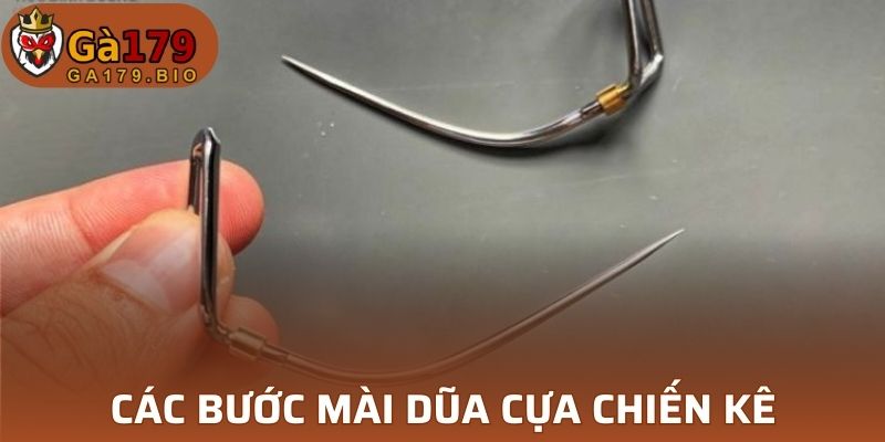 Các thao tác đơn giải để chăm chiến kê