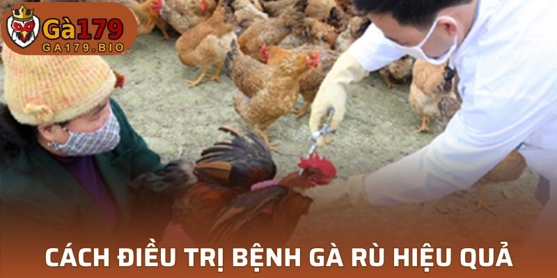 Cách điều trị dịch gà rù