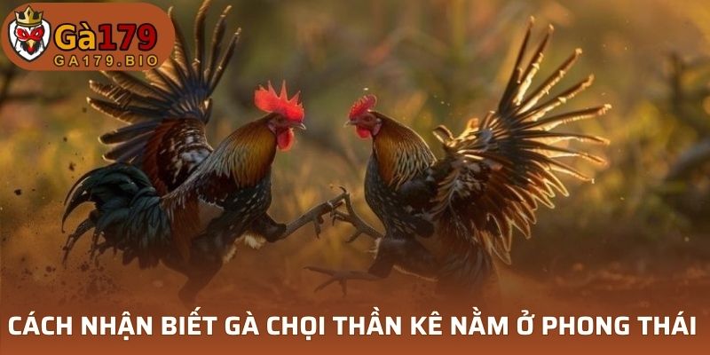 Nhận biết qua ngoại hình của chiến kê