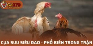 Cựa Sưu Siêu Đao