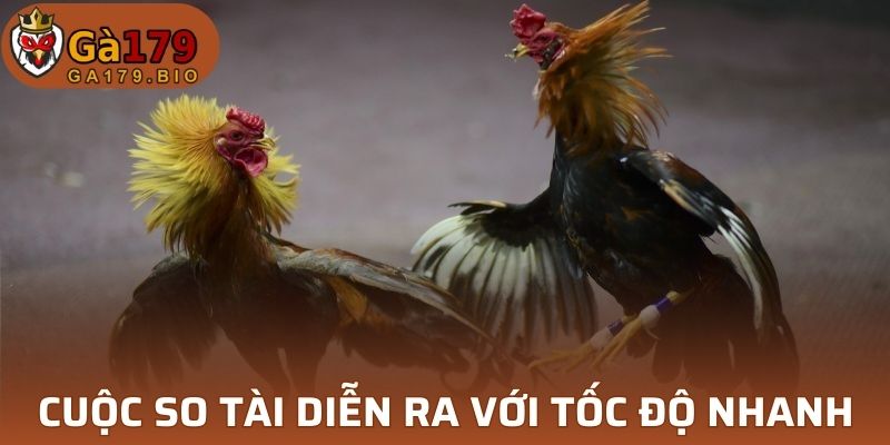 Cuộc so tài diễn ra nhanh