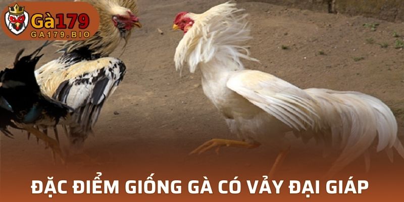 Đặc điểm của giống gà vảy đại giáp