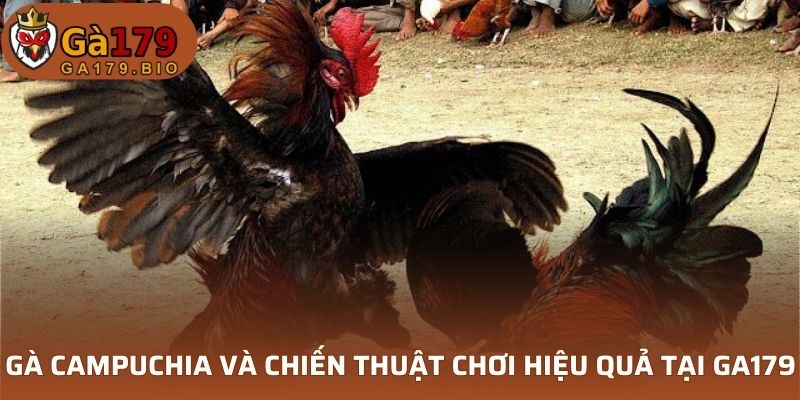 Gà Campuchia