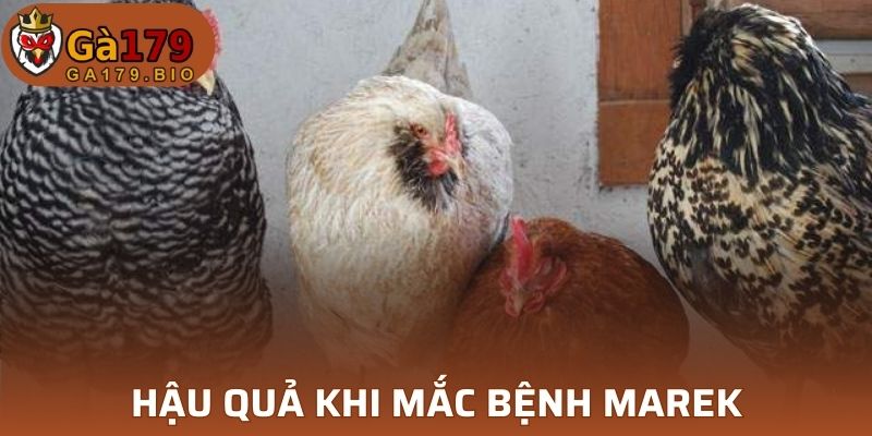 Hậu quả bệnh Marek