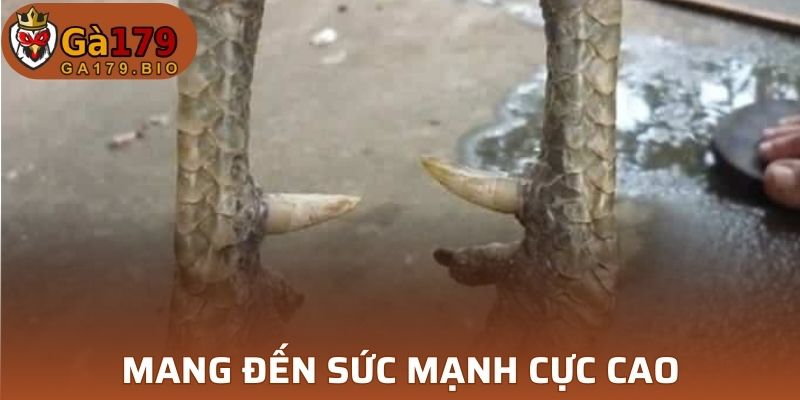 Hỗ trợ tăng cường sự thú vị