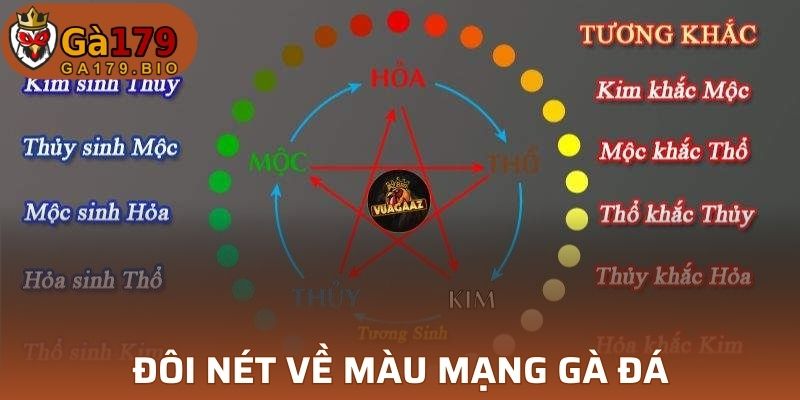 Khái quát về màu mạng gà đá thú vị