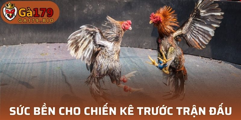 Kỹ thuật vần gà chọi