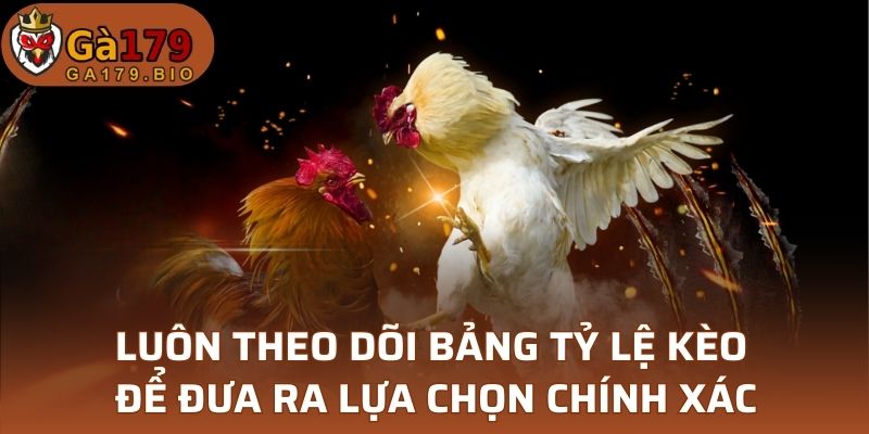 Luôn theo dõi bảng tỷ lệ kèo để đưa ra lựa chọn chính xác