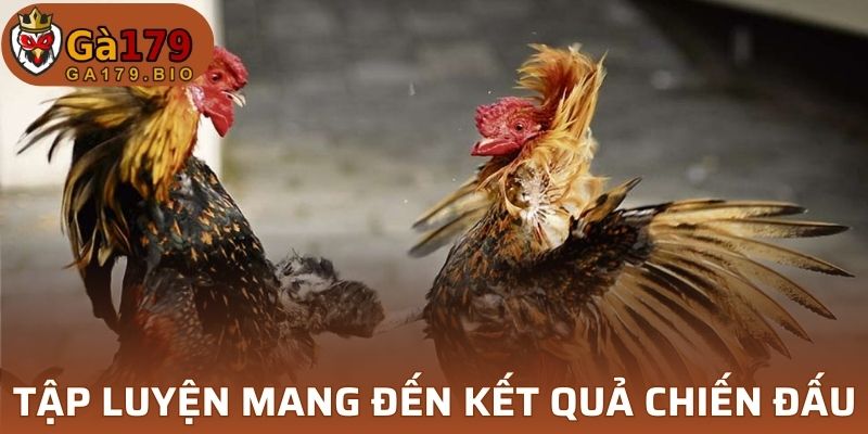 Lưu ý nâng cao khả năng đấu