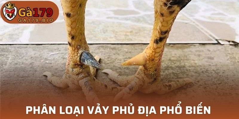 Mỗi loại sở hữu đặc điểm riêng