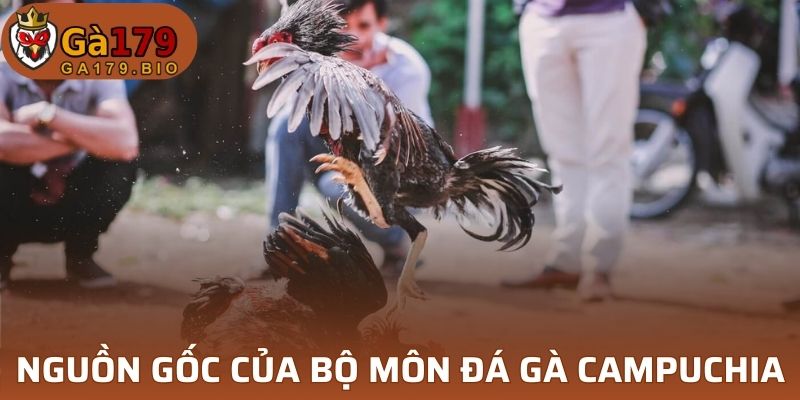 Nguồn gốc của bộ môn đá gà Campuchia