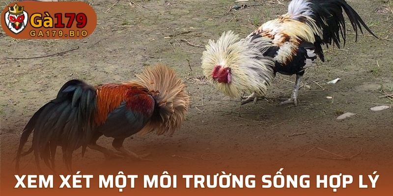 Nuôi dưỡng tinh hoa, vươn lên đỉnh cao cùng GA179