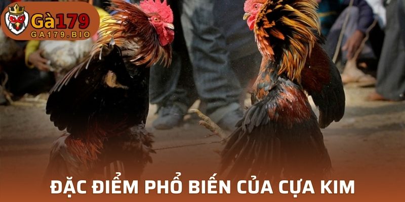 Phân biệt các loại cựa phổ biến nhất