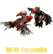 Sảnh Đá Gà Campuchia