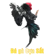 Sảnh Đá Gà Cựa Sắt