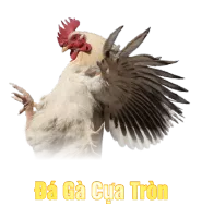 Sảnh Đá Gà Cựa Tròn