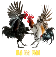 Sảnh Đá Gà Nòi