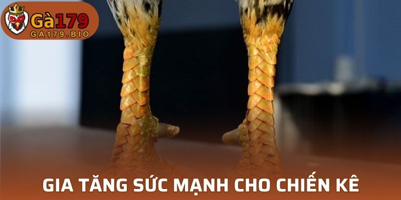 Tạo khả năng bảo vệ và tấn công