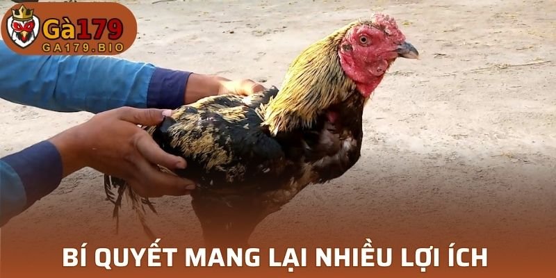 Thao tác mang lại nhiều lợi ích