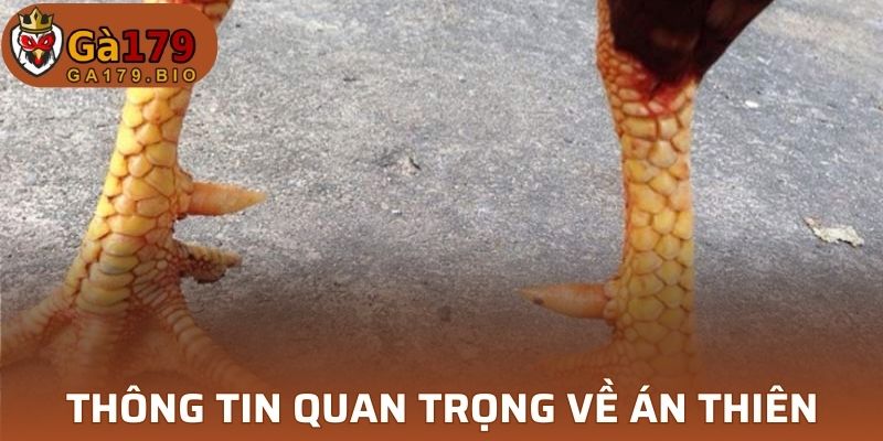Thông tin quan trọng về án thiên