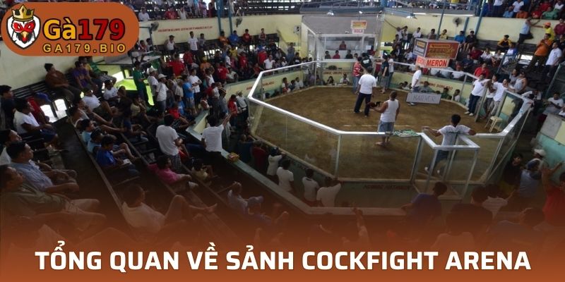 Tổng quan về sảnh Cockfight Arena