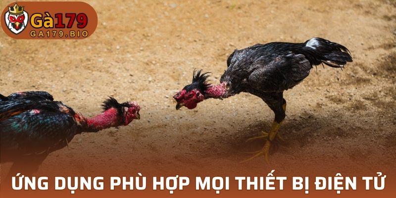 Ứng dụng phù hợp mọi thiết bị điện tử
