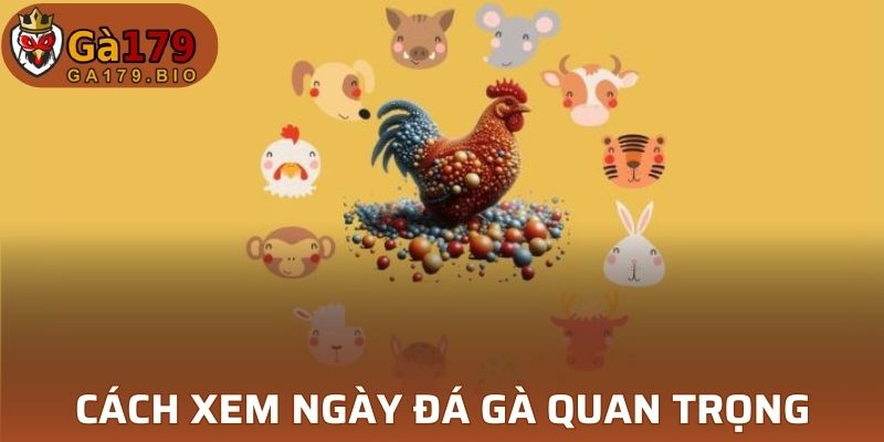 Vai trò của cách xem ngày đá gà
