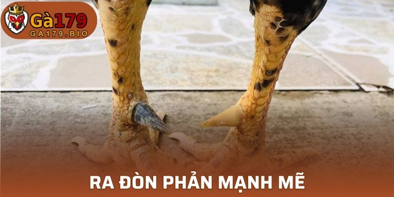 Vấn đề nguy hiểm gây ra vết thương 