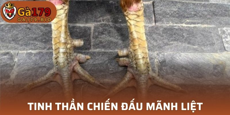 Vảy Hàm Long tinh thần