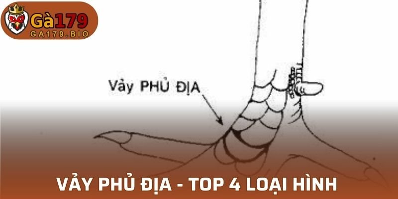 Vảy Phủ Địa