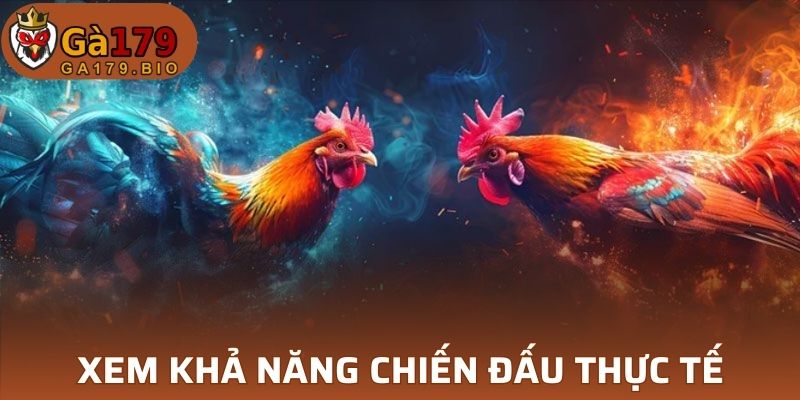 Xem khả năng chiến đấu thực tế trên sàn thi của kê 