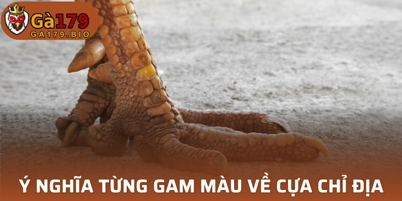 Ý nghĩa từng gam màu về cựa Chỉ Địa